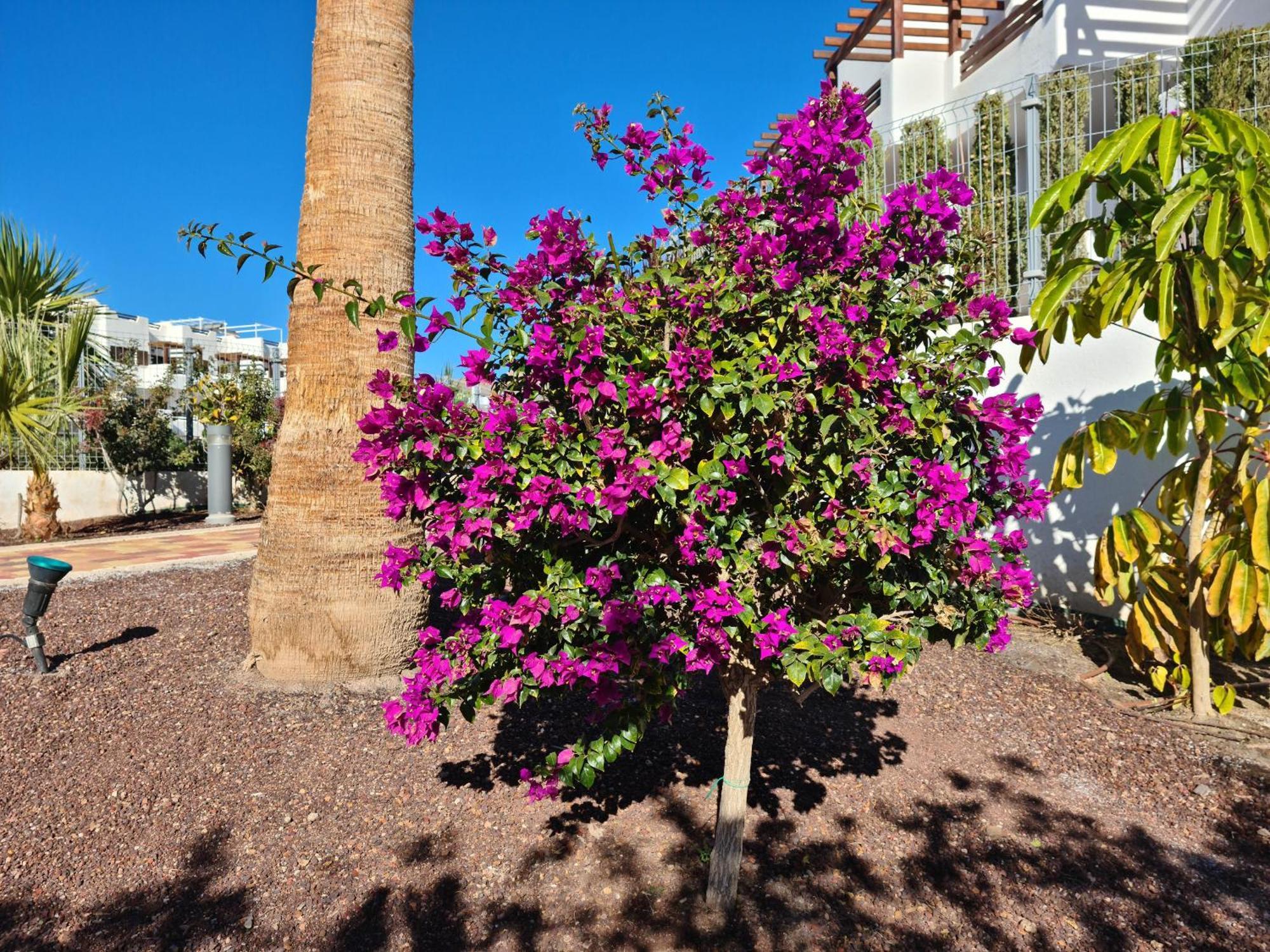 Apartmán El Sueno San Juan de los Terreros Exteriér fotografie