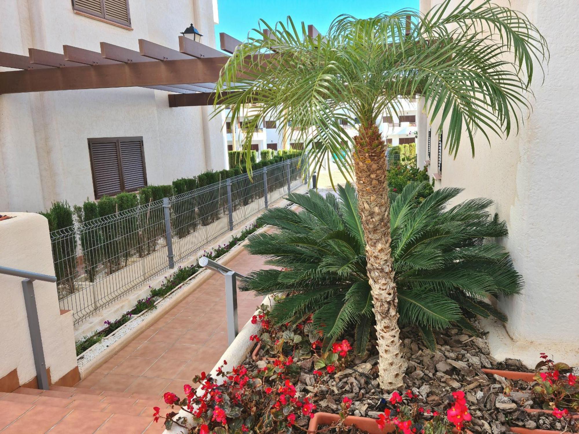 Apartmán El Sueno San Juan de los Terreros Exteriér fotografie
