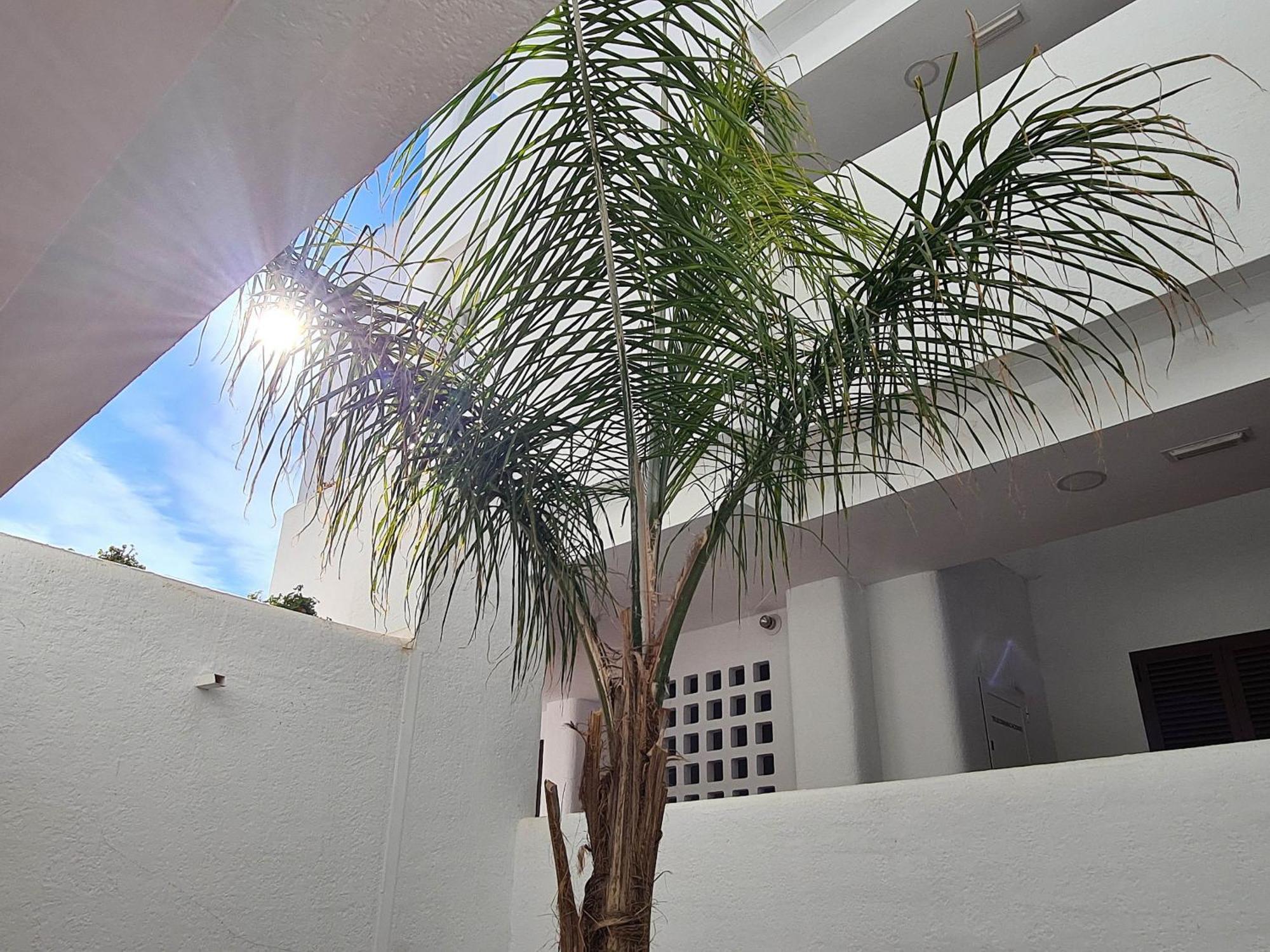 Apartmán El Sueno San Juan de los Terreros Exteriér fotografie